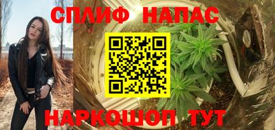 стафф Донецк