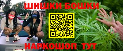 стафф Донецк