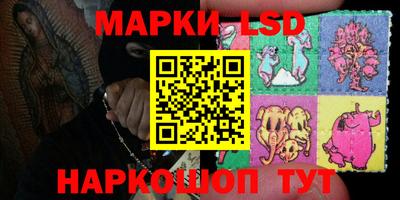 стафф Донецк