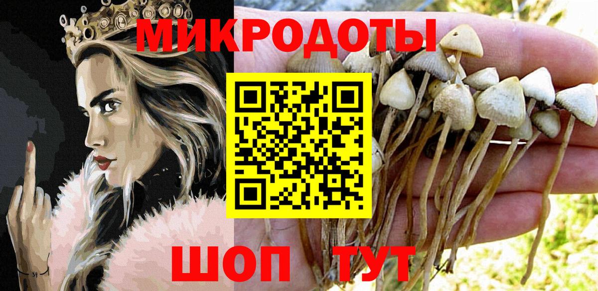 Галлюциногенные грибы прущие грибы  Вход с VPN  Галлюциногенные грибы мицелий  Михайловск 