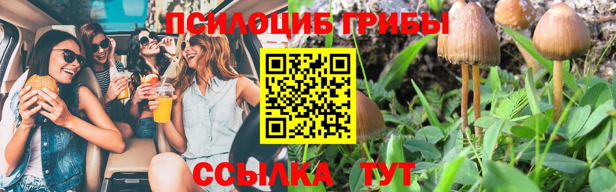 Галлюциногенные грибы ЛСД Михайловск